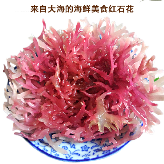 海南龙须菜凉拌菜石花菜海藻鹿角菜海发菜