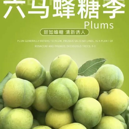 镇宁县四月李，蜂糖李  批发零售