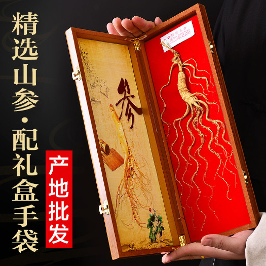 南京人参山参人参长白山人参