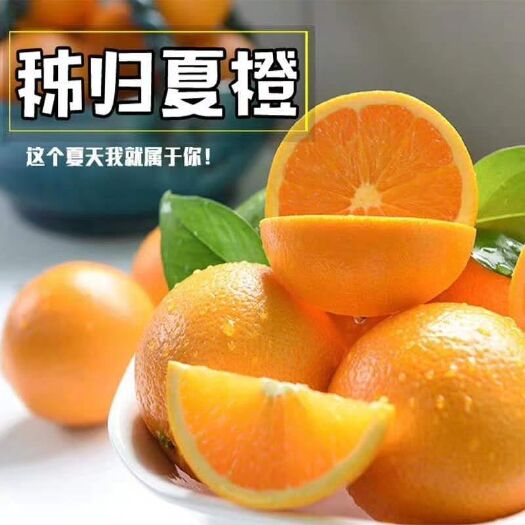 秭归县秭归夏橙榨汁鲜果酸甜爽口老少皆宜新鲜采摘产地直发