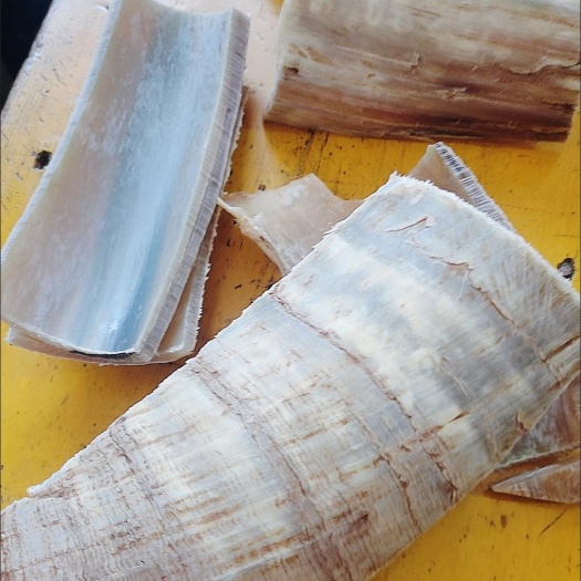无锡正宗药用白水牛角（工艺品边角料）