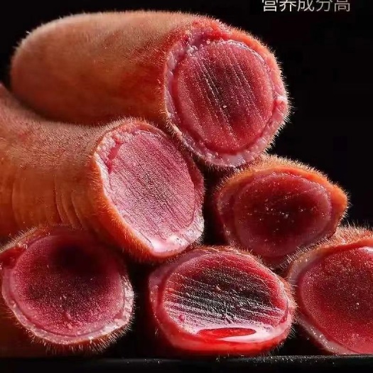 长春【新鲜梅花鹿鹿茸中段】新鲜嫩血茸茸红片位置血量好