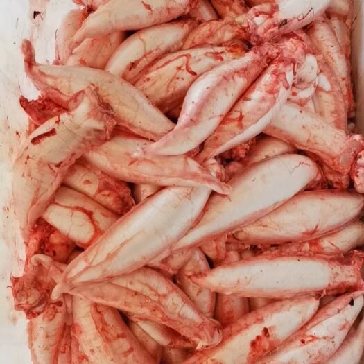 饶平县新鮮鳘魚胶，当天杀魚取胶当天发货，每个重1.5一1.8两