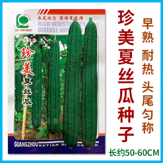 珍美夏丝瓜种籽子耐热棱角丝瓜种子早熟特长丝瓜子种春秋蔬菜种孑