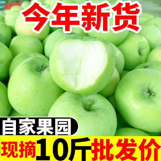 平陆县青苹果水果新鲜脆甜酸苹果应季孕妇苹果批发包邮