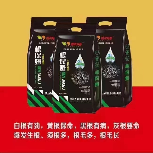 郑州根保姆一天生主根，三天生侧根，七天生须根​