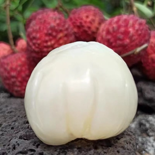 澄迈县荔枝王顺丰空运