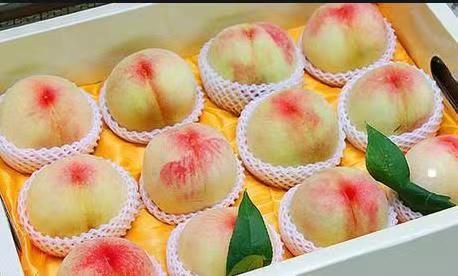 砀山县砀山突围