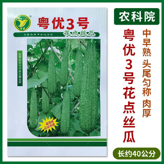 广州粤优3号花点丝瓜种籽农科院蔬菜种子高产大肉棱角甜丝瓜种孑春秋