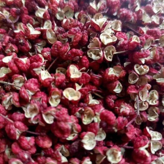 陇南大红袍花椒 武都花椒 梅花椒