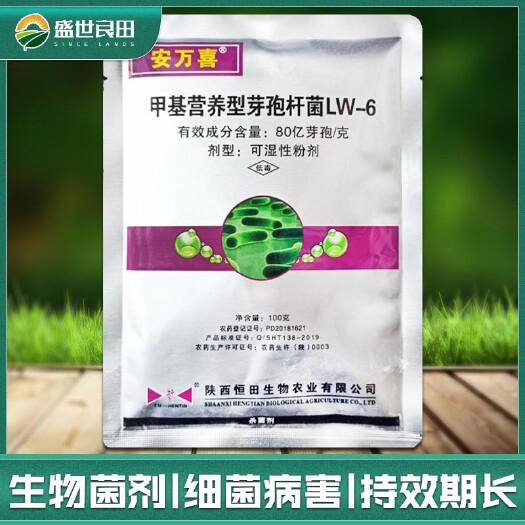 临沂安万喜甲基营养型芽孢杆菌黄瓜细菌性角斑病条斑病柑橘溃疡病农药