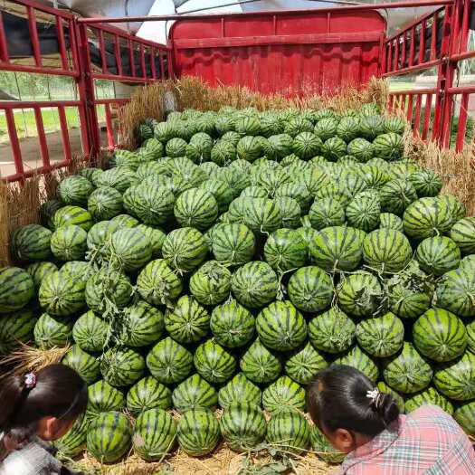 开封精品美都西瓜大量上市，口感甜，产地直发，价格合理，欢迎订购