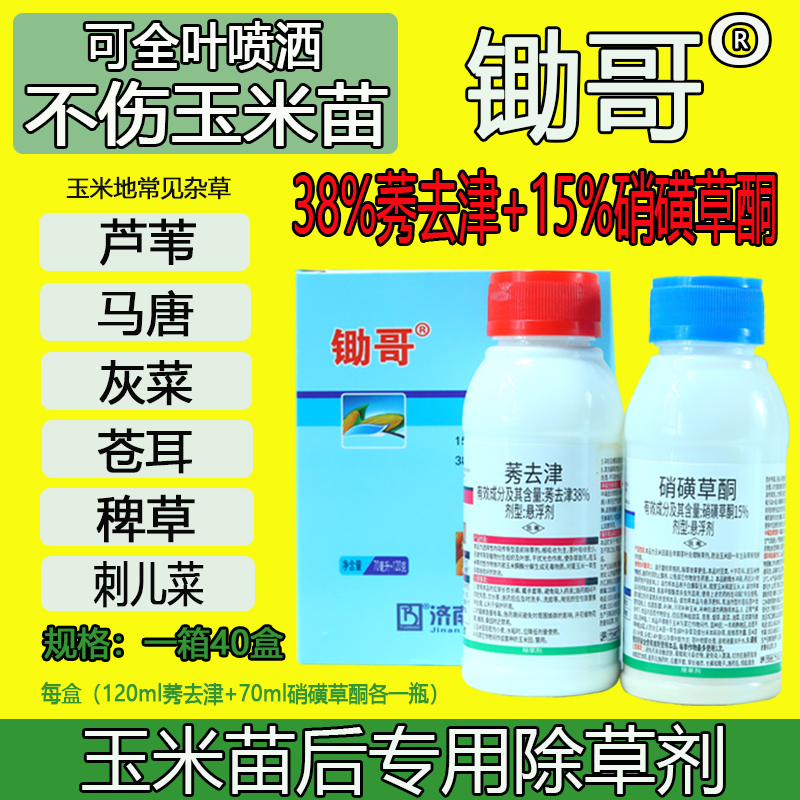 东海县打除玉米地苗后专用除草剂药不伤玉米苗斩草除根正品批发厂家直销