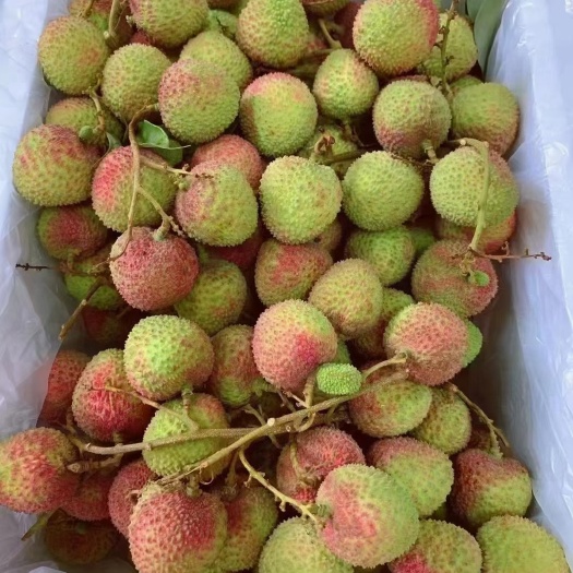 灵山县灵山各品种荔枝