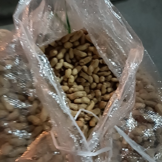犍为县天府花生