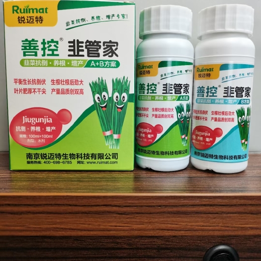 南京韭菜养根控旺是关键