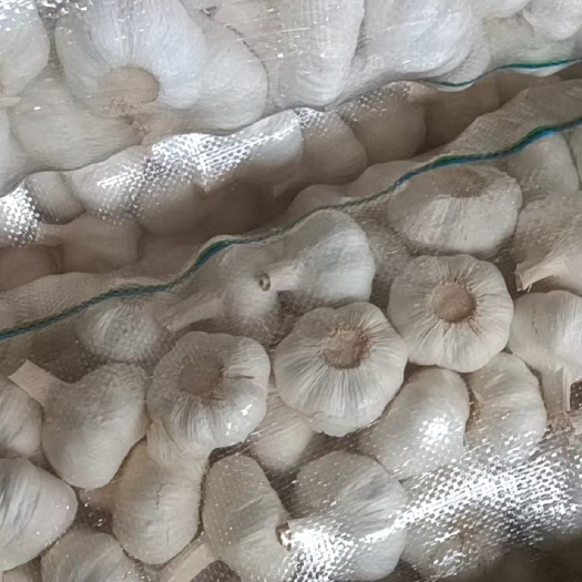 邳州市精品净蒜白蒜质量保证，邳州精品净蒜白蒜