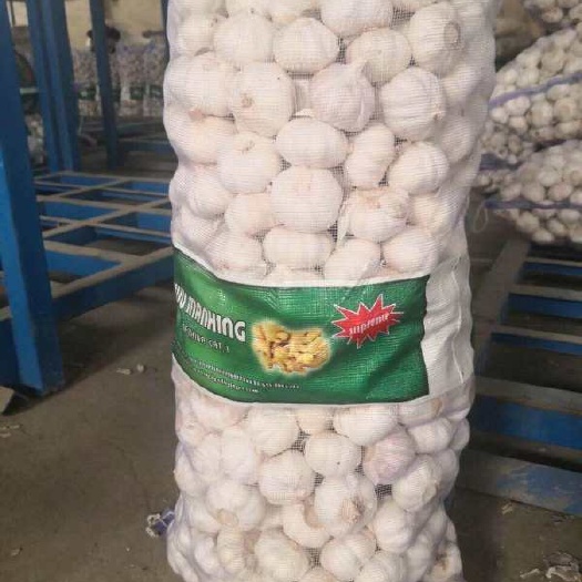 通许县大蒜，红皮大蒜，紫皮大蒜，