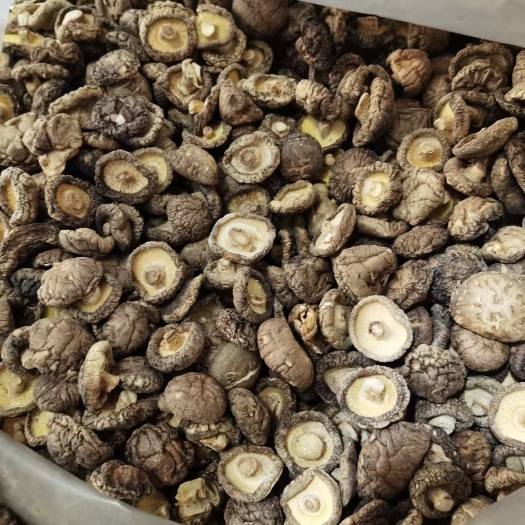 襄樊香菇片  夏菇   产地直销各种干香菇大片菜菇包邮   干度