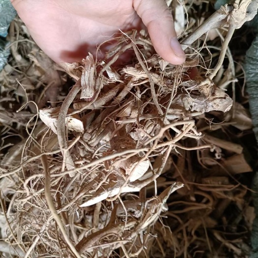 牛奶树根   白花牛奶根切段干货