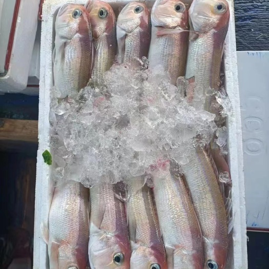北海码头中