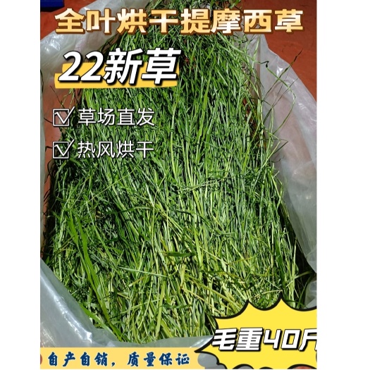 岷县A级头茬全叶烘干提摩西干草
