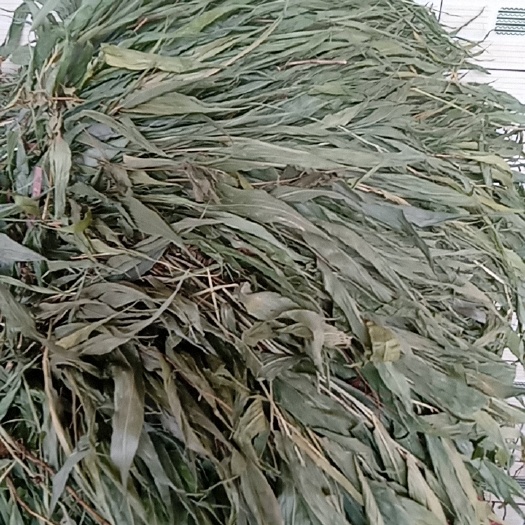 淡竹叶 大别山特产批发零售