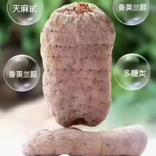 曲靖天麻云南昭通天麻可打粉产地直销