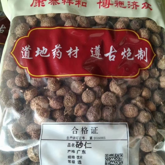 定州市香砂仁，砂仁