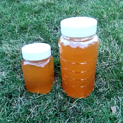 汉源县土蜂蜜