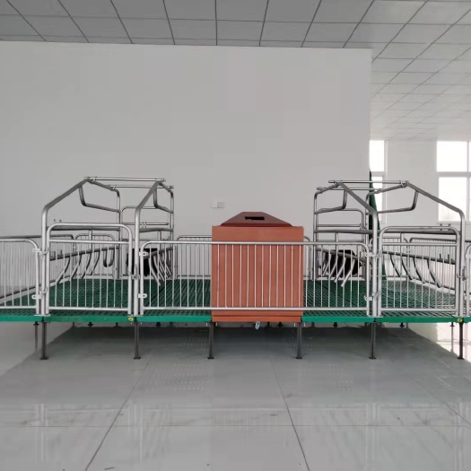 卫辉市热镀锌国标管母猪产床分娩床定位栏限位栏保育床全复合产保一体