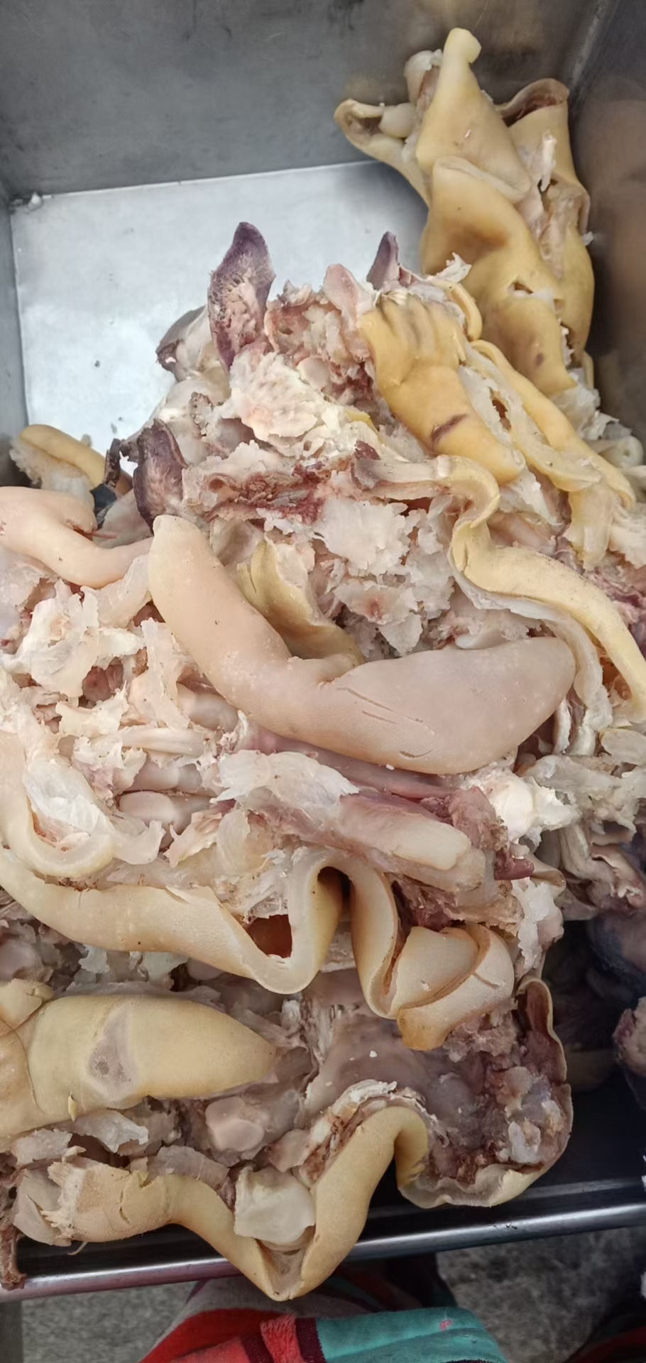 【热卖】清真火烧毛去骨牛蹄筋 饭店火锅店可
选