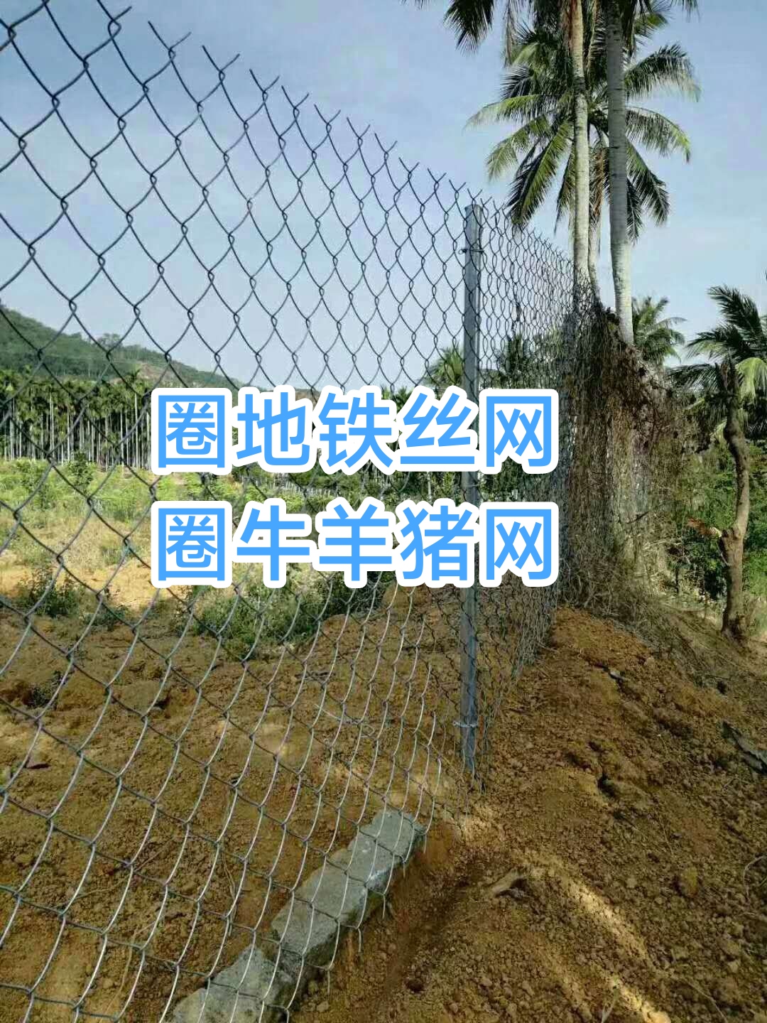 安平县养殖护栏  圈牛羊猪网热镀锌勾花网 铁丝网围栏网 圈地铁丝网