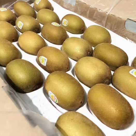 上海新西兰佳沛金果猕猴桃