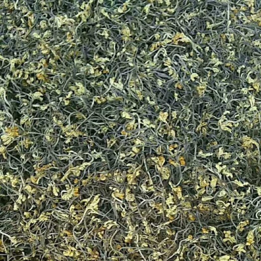 出口级蕨菜干