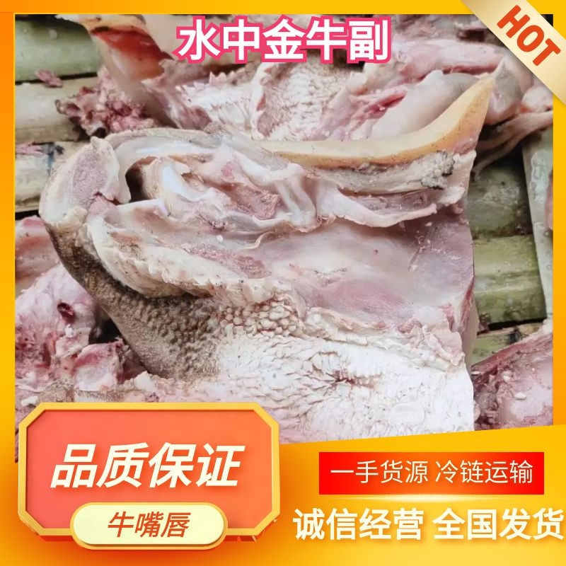 博爱县牛杂 牛嘴唇
