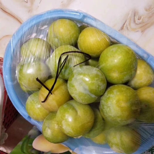 镇宁县正宗蜂糖李