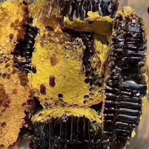 本溪县土蜂蜜