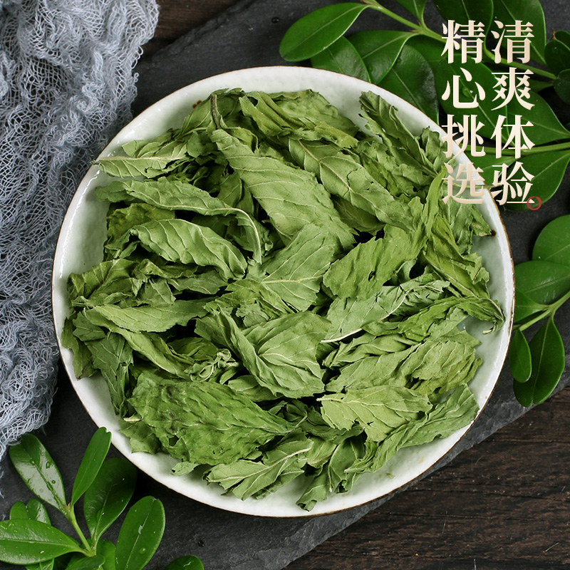 薄荷叶茶  薄荷叶批发 散装新货色绿干薄荷叶 全绿大量批发