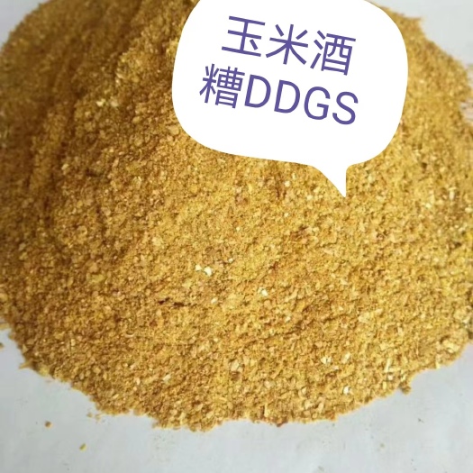 石家庄干玉米酒渣
