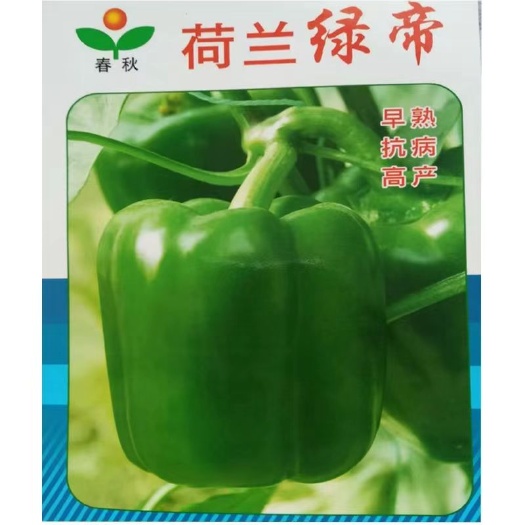 沭阳县荷兰绿帝圆椒种子甜椒种子方椒种子辣椒种子