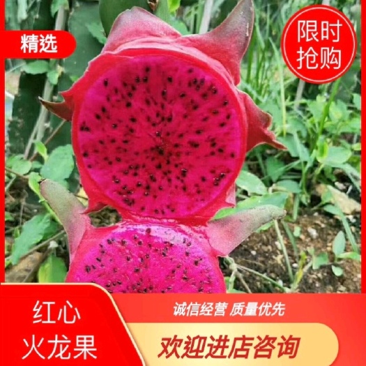 南宁广西武鸣火龙果成熟了，品种齐全，囗感甜花少！