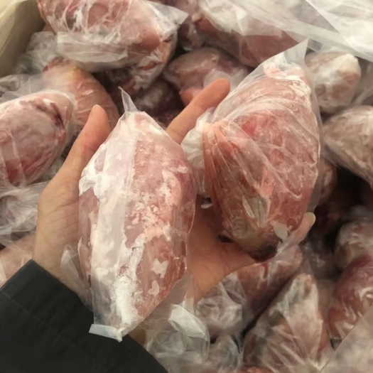 郑州羊宝