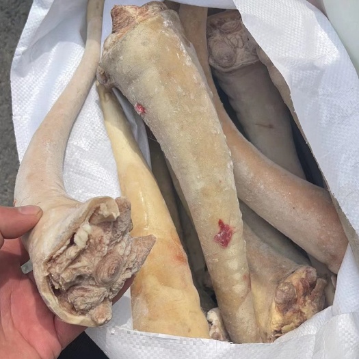 郑州驴尾  精品新鲜冷冻带皮尾巴  货源充足 全程冷链运输
