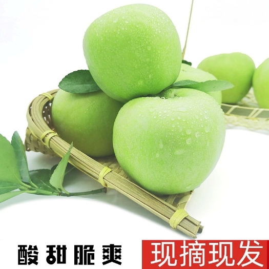 山西临猗青苹果 新鲜水果现摘当季一件代发包邮 酸甜平果酸脆甜
