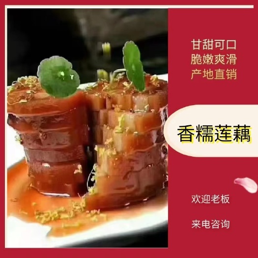 糯米藕 甘甜可囗，脆嫩爽滑。香糯莲藕。