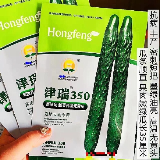 沭阳县博纳多黄瓜种子津瑞350博青668油亮绿皮绿瓤早熟杂交高产抗