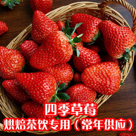 蒙特瑞草莓 云南省曲靖市会泽县