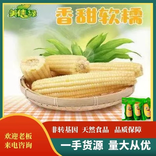真空包装玉米 糯玉米  美佳绿玉米。200gx18棒。