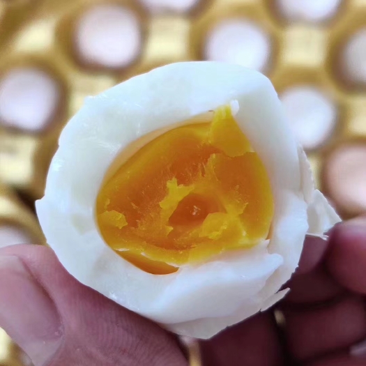 江门珍珠鸡蛋 养殖场每天新鲜发货（商品蛋）